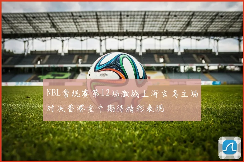 NBL常规赛第12场激战上海玄鸟主场对决香港金牛期待精彩表现