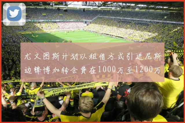 尤文图斯计划以租借方式引进尼斯边锋博加转会费在1000万至1200万欧元之间