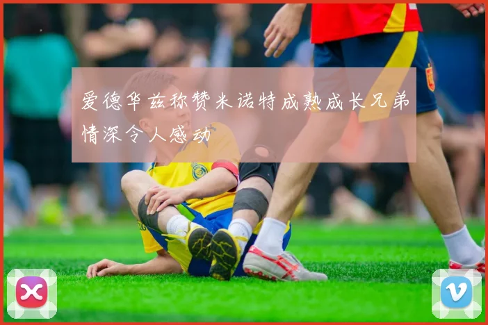 爱德华兹称赞米诺特成熟成长兄弟情深令人感动